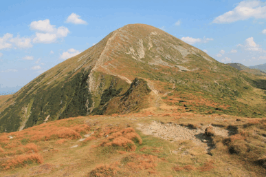 050139f1-9fff-387x257.png