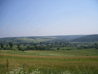 05013a87-3553-341x256.png