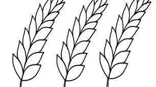 Олімпіада з історії України 11 клас