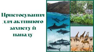 Презентація на тему "Пристосування для активного захисту й нападу"