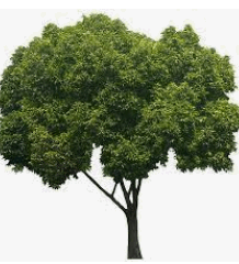 05013e4g-dd08-218x240.png