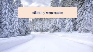 Презентація на тему:  «Який у мене одяг»
