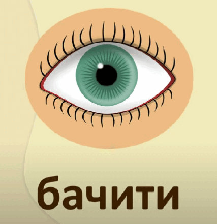 05013hmb-65af-427x441.png