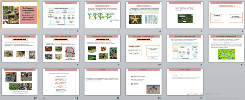 05013ho6-2c2b-940x386.png