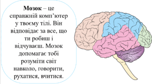 Позакласне читання для допитливих. 1-4 класи. Презентація "Будова тіла". Пояснення простими словами для дітей.