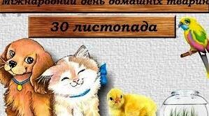 30 листопада - Міжнародний день домашніх тварин