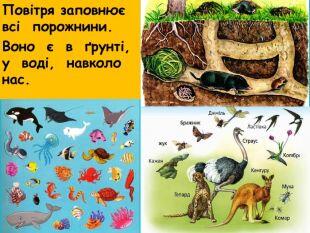 05013m4x-bbdb-310x233.jpg