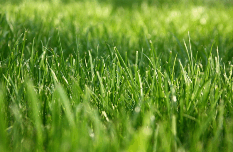 05013n1o-dd9b-794x519.png