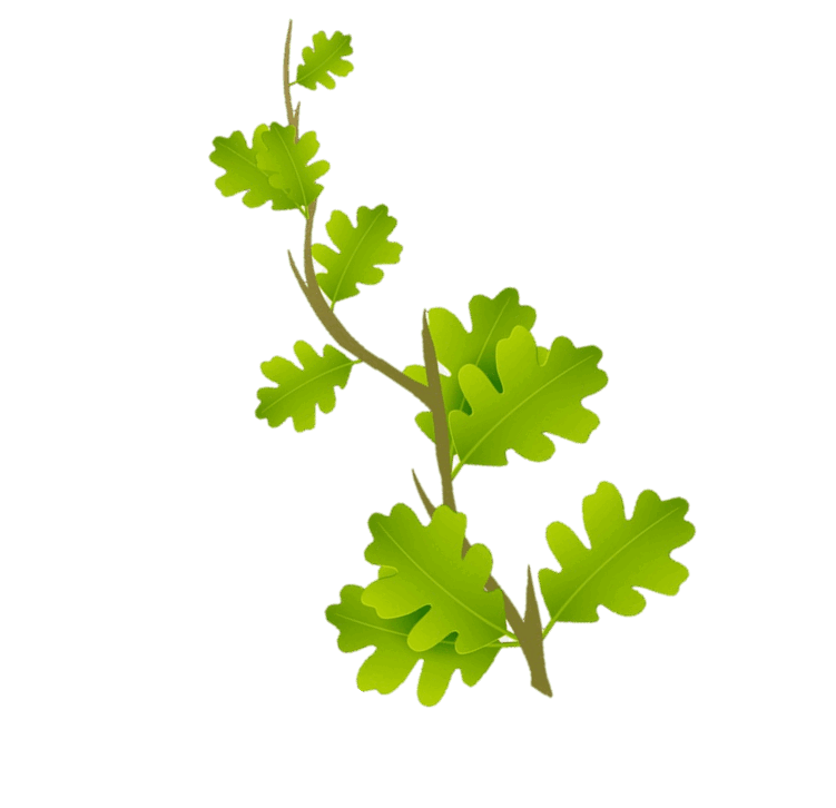 05013ptn-678b-751x726.png