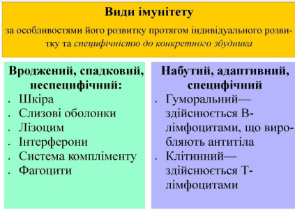 05013pyw-e4b6-423x301.png
