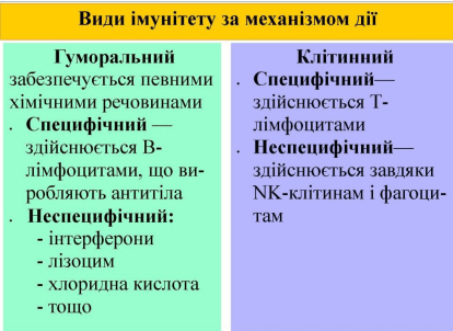 05013ron-a506-639x466.png