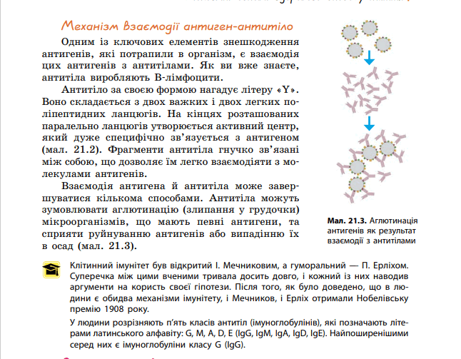 05013sup-8258-646x503.png
