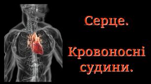 Презентація до теми "Серце. Кровоносні судини"
