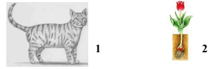 05013vwp-f9e8-307x99.png
