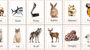 Картки з англійської мови на тему "Тварини". Flashcards "Animals"