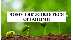  Чому і як живляться організми. Як живляться тварини