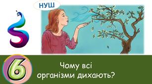Презентація : Чому всі організми дихають?