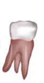 05013yn1-cb28-104x193.png