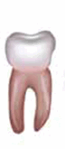 05013yn4-61da-96x220.png