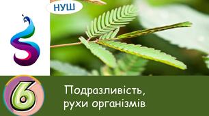 Презентація : Подразливість, рухи організмів
