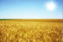 05014020-2bc2-129x85.png