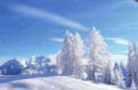 05014033-22c6-138x90.png