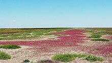 0501413e-436a-257x145.jpg