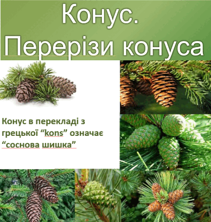 0501423n-892e-418x439.png