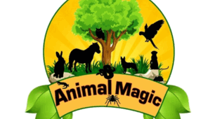 TEST "Unit 3. Animal Magic" (Wider World 2) 