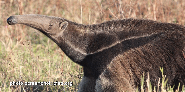 0501456i-db14-650x325.png