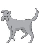 050148ey-42a1-155x185.png
