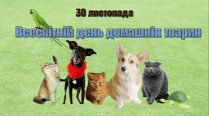 30 листопада - Всесвітній день домашніх тварин
