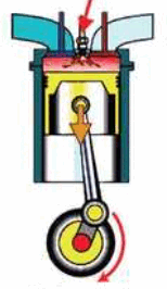 05014djm-a204-154x266.png