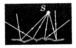 05014ell-51d6-255x162.png