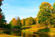 05014iio-d579-236x157.jpg