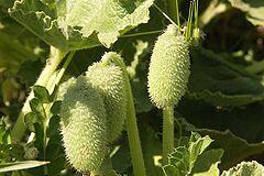 05014iob-5a10-240x160.jpg