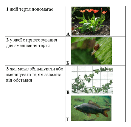 Подпись отсутствует