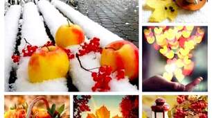 🧡СПОДІВАННЯ ПІЗНЬОЇ ОСЕНІ🍂