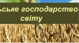 Робочий аркуш. Світове господарство. 9 клас