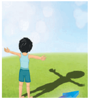 05014ows-1192-295x330.png