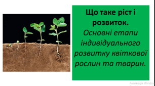 Презентація на тему " Що таке ріст і розвиток.  Основні етапи індивідуального розвитку квіткової рослин та тварин. "
