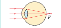 05014sli-1835-125x57.png