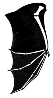 05014yf4-4d00-174x321.png