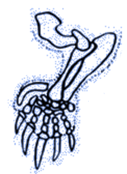 05014yfr-5aad-418x575.png