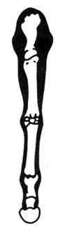 05014yfx-04c6-93x320.png