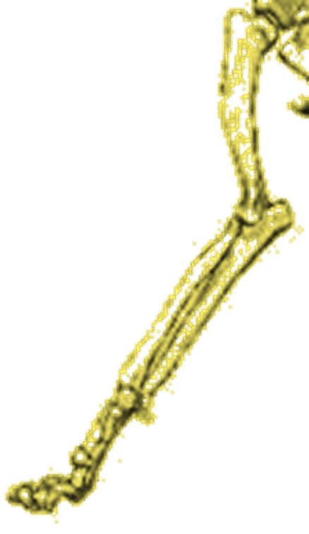 05014ygc-8eef-438x758.png