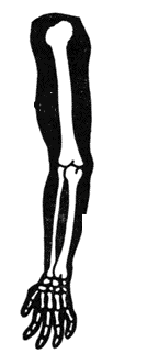 05014ygq-9565-134x322.png