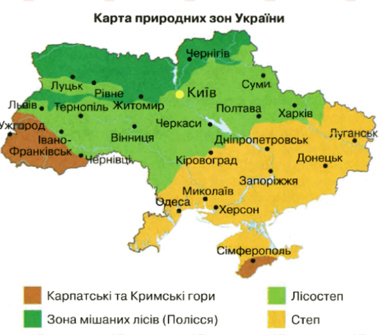 05014yut-2676-552x481.png