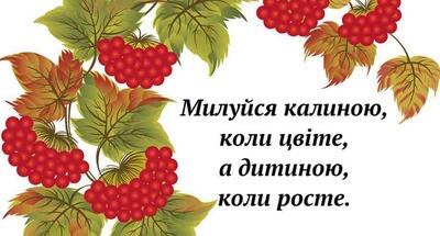 05014z60-5624-400x215.jpg
