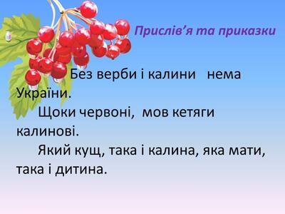 05014z6a-05f1-400x300.jpg